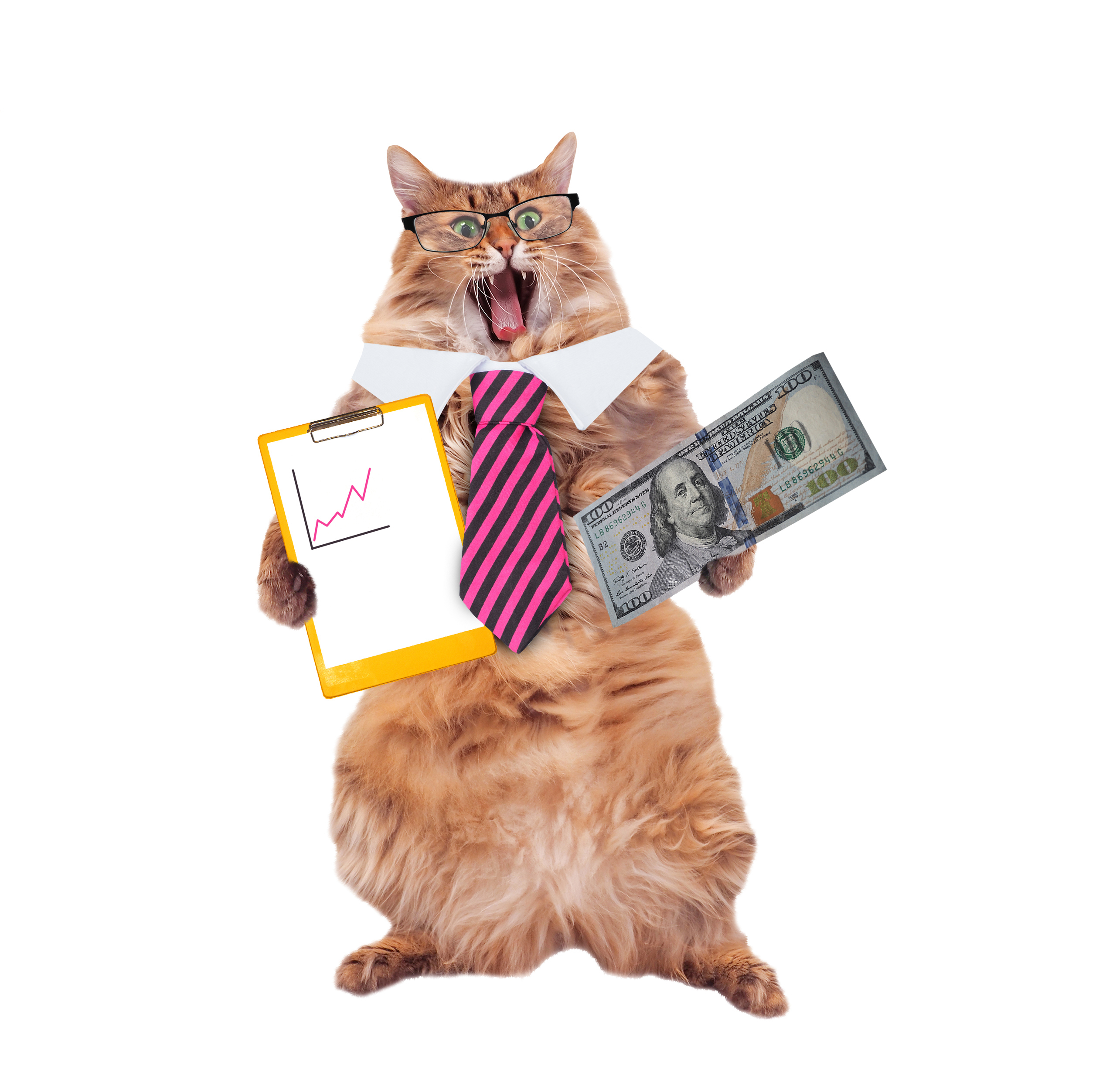 日本円で遊べるブックメーカーが便利